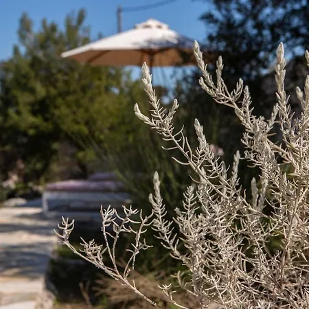 빌라 Borsa Secluded Retreat With Sea Views Gym *