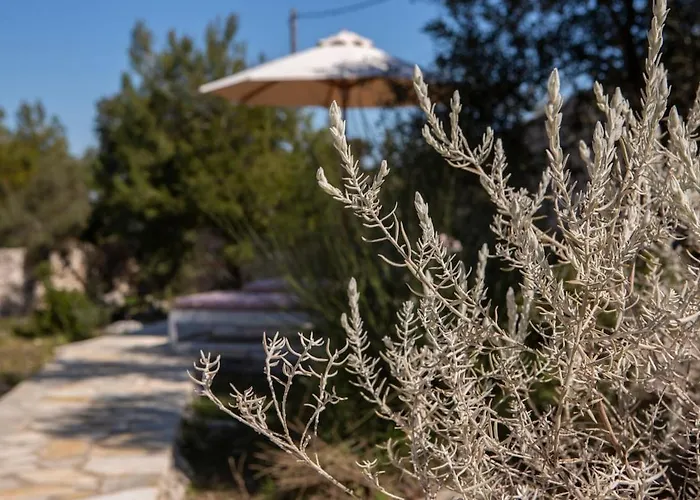 빌라 Borsa Secluded Retreat With Sea Views Gym *